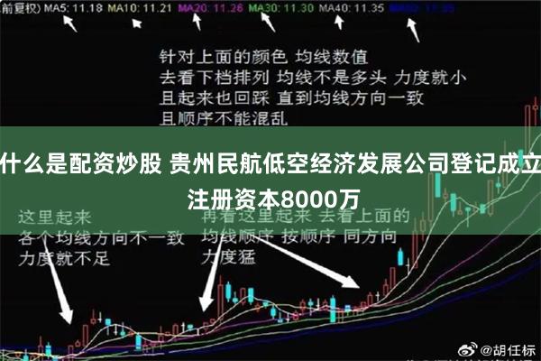 什么是配资炒股 贵州民航低空经济发展公司登记成立 注册资本8000万