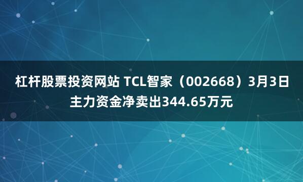 杠杆股票投资网站 TCL智家（002668）3月3日主力资金净卖出344.65万元