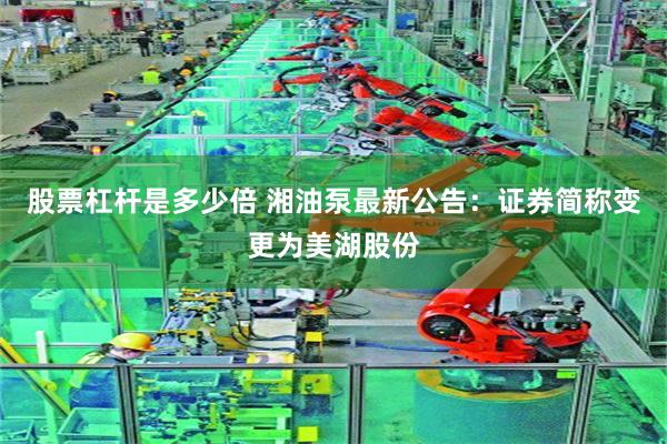 股票杠杆是多少倍 湘油泵最新公告：证券简称变更为美湖股份