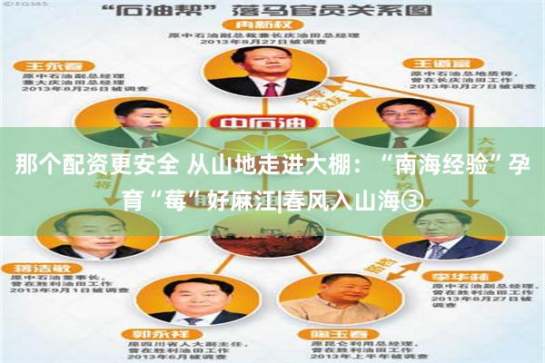 那个配资更安全 从山地走进大棚：“南海经验”孕育“莓”好麻江|春风入山海③