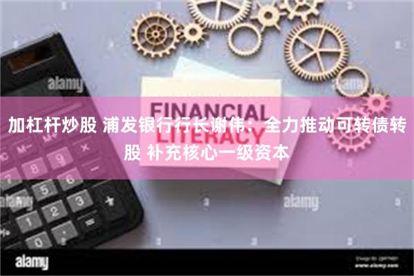 加杠杆炒股 浦发银行行长谢伟：全力推动可转债转股 补充核心一级资本
