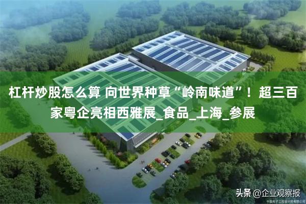 杠杆炒股怎么算 向世界种草“岭南味道”！超三百家粤企亮相西雅展_食品_上海_参展
