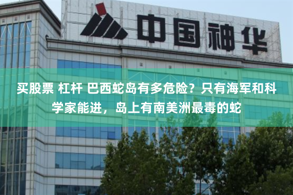 买股票 杠杆 巴西蛇岛有多危险？只有海军和科学家能进，岛上有南美洲最毒的蛇