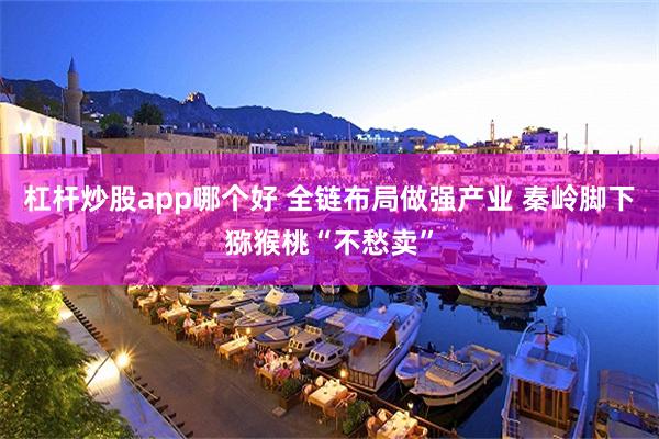 杠杆炒股app哪个好 全链布局做强产业 秦岭脚下猕猴桃“不愁卖”